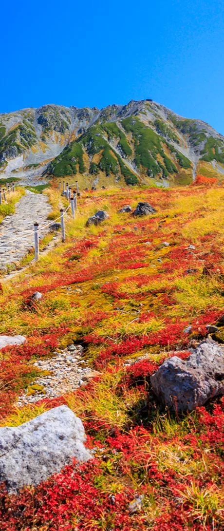 紅葉に染まる登山道