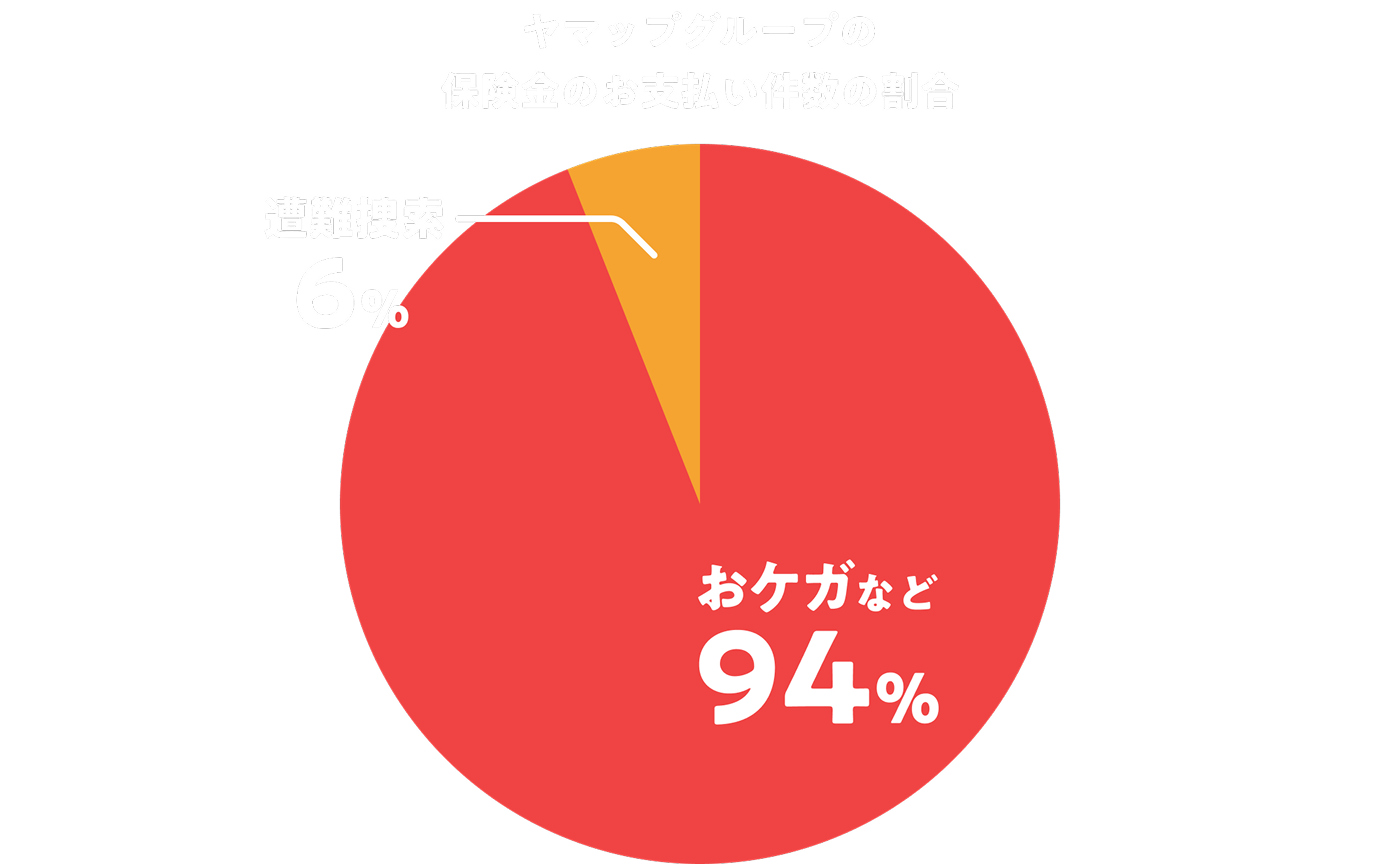 ヤマップグループの保険金のお支払い件数の割合。おケガなどが94%。遭難は6%。